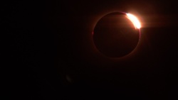 c87960e1-50ef-43f2-a45b-f8991c1a723b
