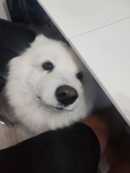 15bd02df-60c6-4f98-874b-2ccc5bb2ca72