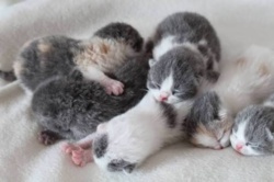 293c39d9-ccb5-4171-9e8b-d2c5462fa376