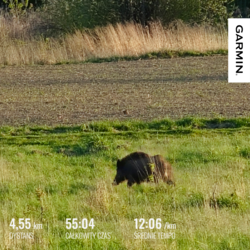 69d4cb3d-0f9c-4a0f-9e1a-357e4589b999