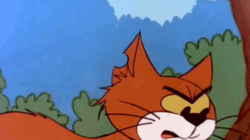 896769d8-b0d9-461d-952e-22203b581426