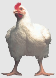 5fc71edc-2255-4aca-a6a2-2a00d317c9d6