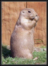 4d4a6e3d-6b81-41cb-b6e9-537b0cc2940b