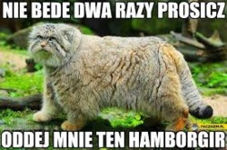 9ec1bfaf-9ff4-4b16-a17a-d9ba41f90c54