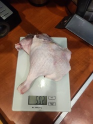 201c3fc4-5199-4a79-be05-0a43617847c7