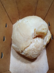 ea99b0b8-4566-4069-b264-d5d3a530a24c