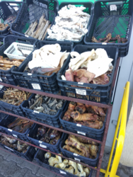 9a148b52-5327-4116-8d0b-97a6c35ef65c