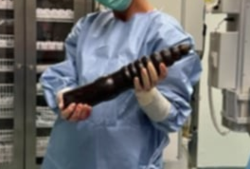 8a54ade2-4e7f-4454-ae91-d5c7e1c78b3b