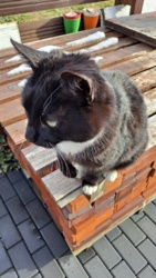 bfd6a591-cc56-4c58-8df6-7cfd8f28c18c