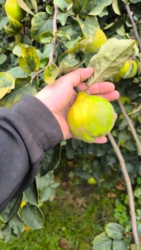 0c77d521-0259-4f63-be59-9b5eb06a5fdd