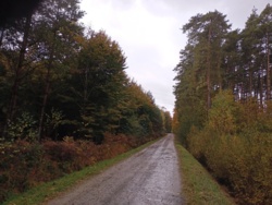 04435a3c-dcbf-4bd5-a072-315b7e77cd95