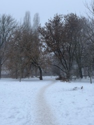 4ab393e4-310e-4088-ac7a-c5681fd928a9