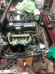 cbeb0331-47f4-4ef0-9eca-df4f3d7100f9