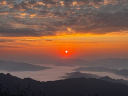 26908032-be7b-4b6f-a0ee-a6c9b00f818a