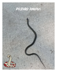 9a7b8f65-c7ab-492b-8c55-b8600c5d16b5