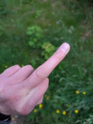 00a1328c-0e25-48b4-b5ef-1821c11c8091