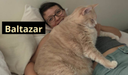 58945fd3-9586-4317-b335-02ef95a950bb