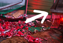 27954eb1-25bb-438a-ab46-aabbebfec0b3