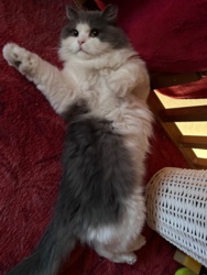 b2dc33b0-dfbe-4442-92ee-3573b41767cf