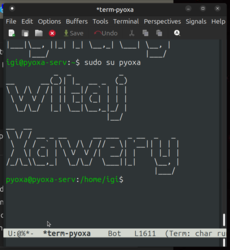 69d3c0de-aeb8-44e5-8c75-1308c90eac93