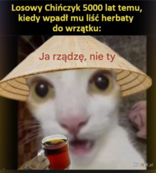 df3b6c0b-5358-4707-9ac9-cffb59870362