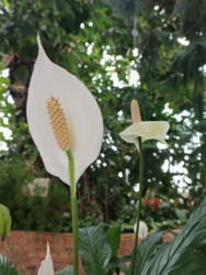 c0729922-c5ed-4699-9741-9cb322330cbc