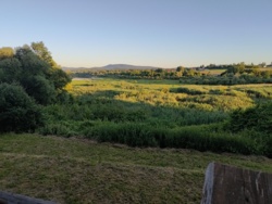 8fd92226-4231-490c-958e-f6011b3667f8