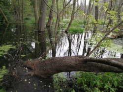 45fccd44-798a-4f19-988a-25994f01ada3