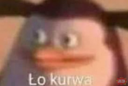 41f993d3-2e11-41be-a038-292aac36ae22