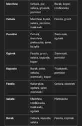 555182ae-e023-4d87-9744-006b313ce0d6