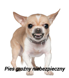 92f71dfd-317c-4bc0-9eb1-772c30df56a6