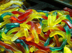 ee6dbe85-514e-4881-8022-773a8c891701