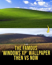 ad892786-f285-4d85-96a9-fd73fec7f463