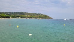 99b8e37b-7496-466f-8b25-99f1ba513fca