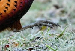 f32e72ab-b622-4daa-ac92-172fc840fd5f