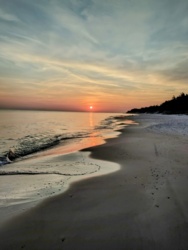 ae768d92-7b14-49b2-8d3f-4d8e02caf306