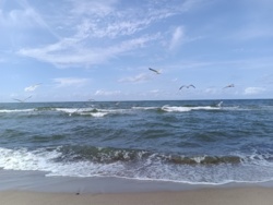 cb813a5a-2d42-44f9-b612-d11855401fc9