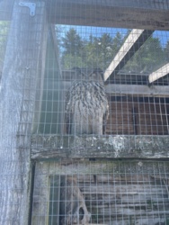 dc99a49b-97f6-4b27-8a38-33820491816c