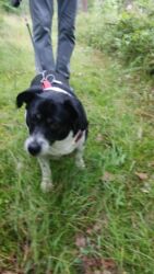 2df3f138-394b-4525-95d2-33ef5466a1d7