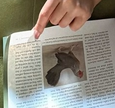 53ed2e3d-f787-4497-845a-13d5a2e27f58