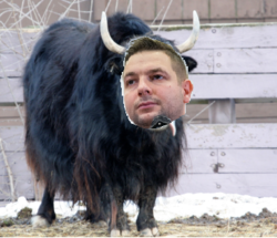 fe02b2e2-2e54-4fa1-a84d-b8bf6b830d41