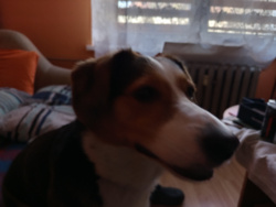 48b26749-ffe5-423e-94dd-d6fb20a05422