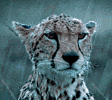 9bd06f75-c789-474b-be21-7e96d9e7d882