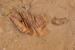 0ecb9dc2-09a0-4b2b-a84c-412f9d758475