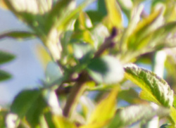 4d7dd2a8-b872-4670-8763-6fd9f661a040