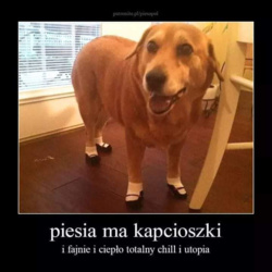 67023a28-830c-41c6-8483-e7db2338c7c6