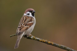 4a721753-6844-48fb-8ea8-36303630aa99