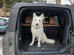 715c6a66-4241-4f33-9266-d75e52d550f6