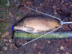 ad3a2db8-8493-4089-91b0-380d9f7ee5f2