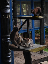 48f8faf7-b0de-402e-b909-a087f0424d6c